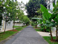 Blk 44 Moh Guan Terrace (Bukit Merah), HDB 3 Rooms #430523081